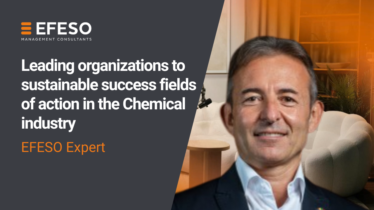Smiling man in a suit with gray hair in front of a blurred orange and beige office setting. Text reads: EFESO Management Consultants; Leading organizations to sustainable success fields of action in the Chemical industry; EFESO Expert. EFESO Management Consultants